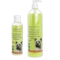 Šampon březový 200ml Perfect care KAR 1ks